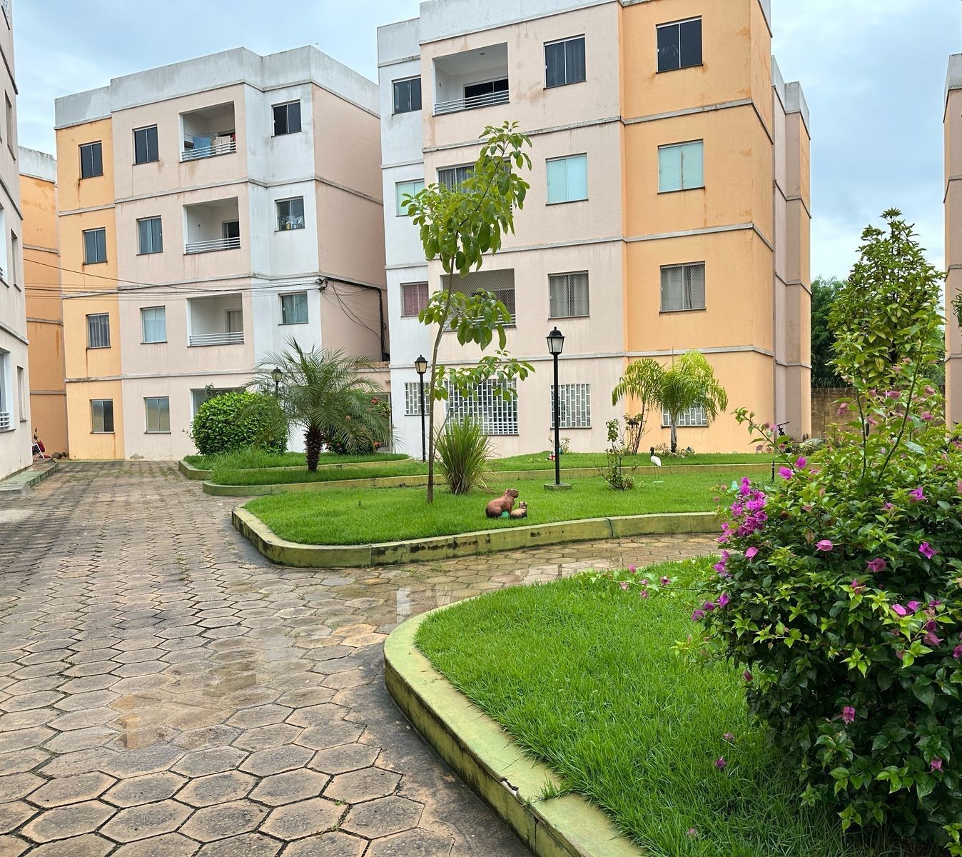 IMG-20250831-WA0014_1